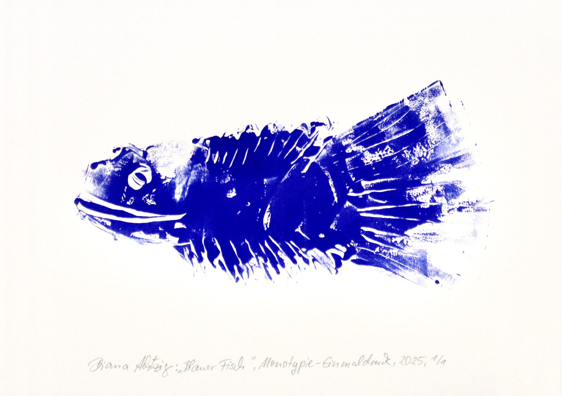 Titel: „Blauer Fisch“ – Blaudruck-Monotypie Serie: Bilder der Hoffnung Künstlerin: Diana Achtzig Format: A3 Technik: Monotypie (Einmaldruck – Unikat) Unikat: Nur 1 Exemplar weltweit Farbe: Ultramarin – Schmincke Linoldruckfarbe Papier: Dorée Naturweiß (170 g/m²) Jahr: 2025 Bildnummer: 614 Preis: 450,00 € – Reduzierter Preis – 20 % Versand: inkl. MwSt. & Versand (DE & AT)